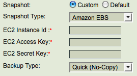 BackupHow-AmazonEBS-ZRM-3.2.png