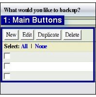 Edit Duplicate Delete Buttons
