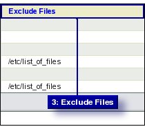 Fig 4. Exclude Files Choice
