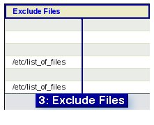 Fig. 7  Exclude Files Choice