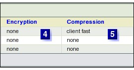 Encryption & Compression Choice