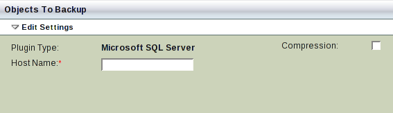 Microsoft SQL Server Backup What Options