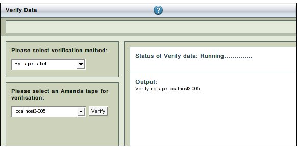 Fig. 3 Running Verification